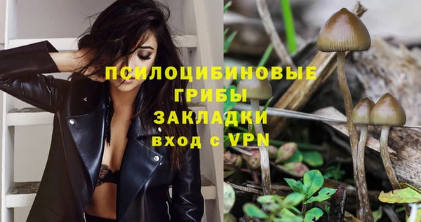 ешки Алексеевка